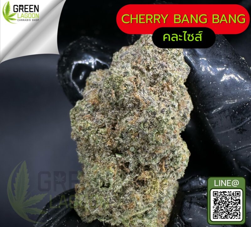 Cherry bang bang