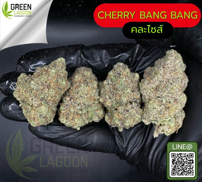 Cherry bang bang