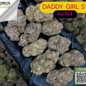 Daddy's girl S1