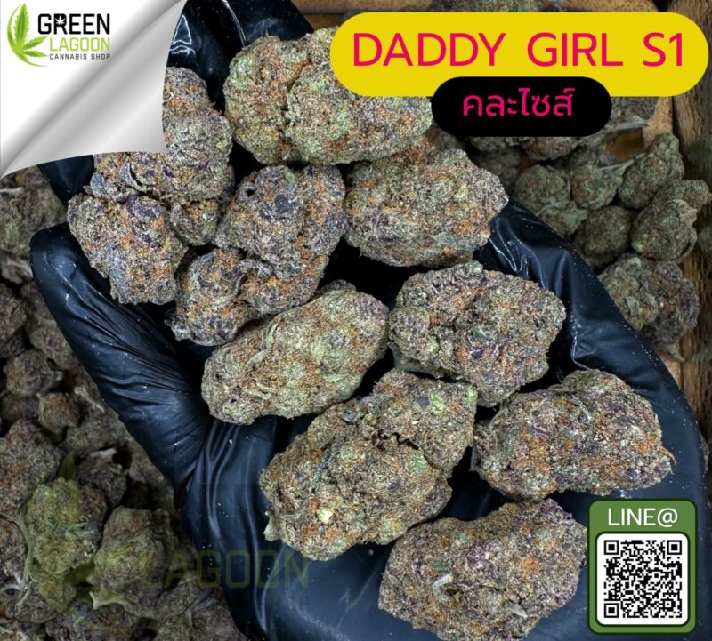 Daddy's girl S1