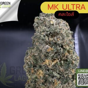 MK ultra