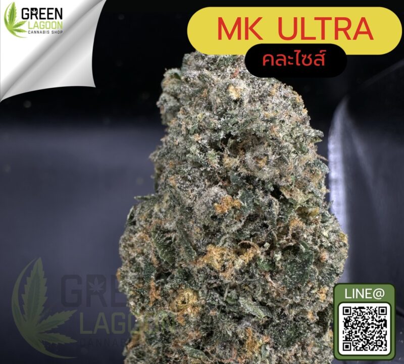 MK ultra