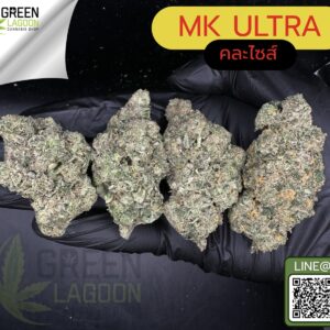 MK ultra
