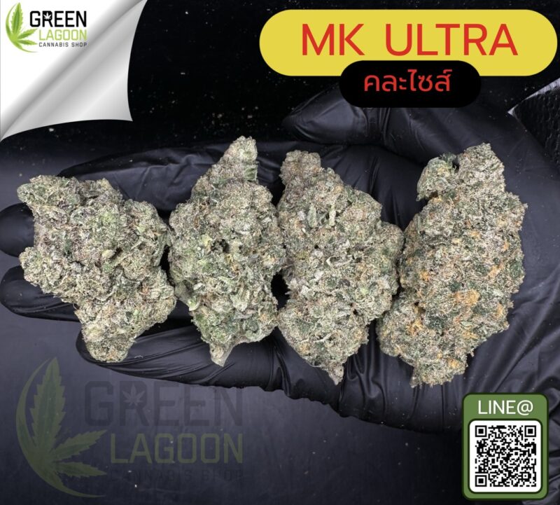 MK ultra