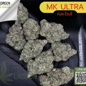 MK ultra