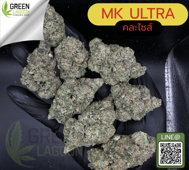 MK ultra