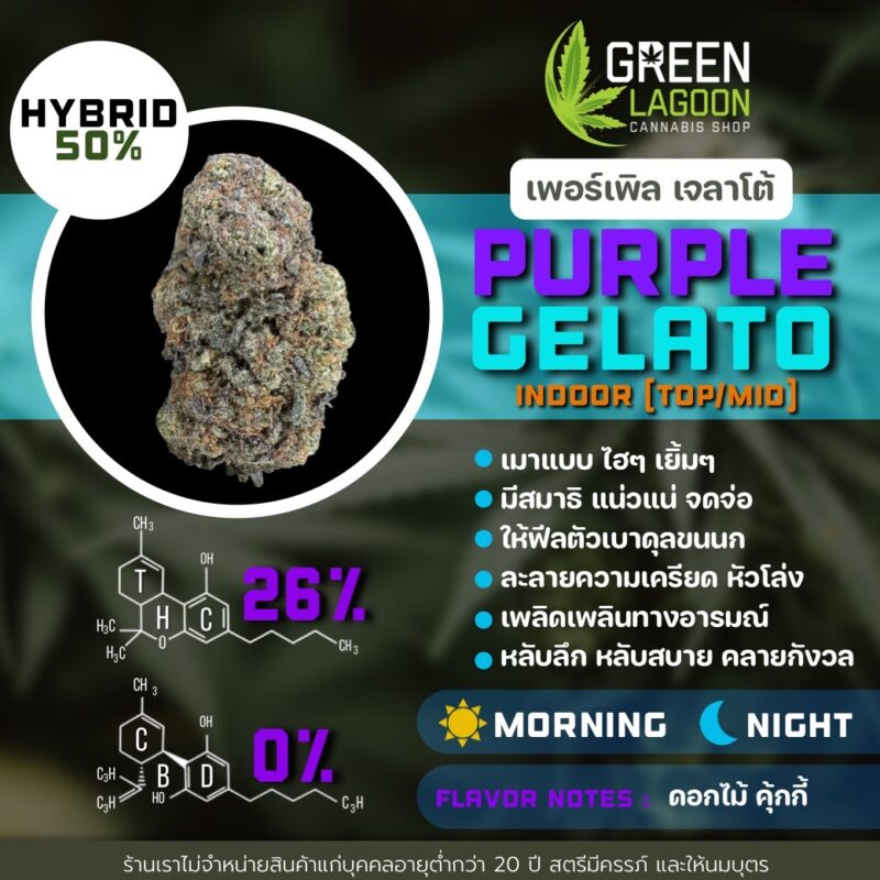 Purple gelato