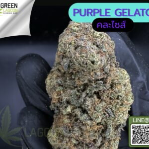 Purple gelato
