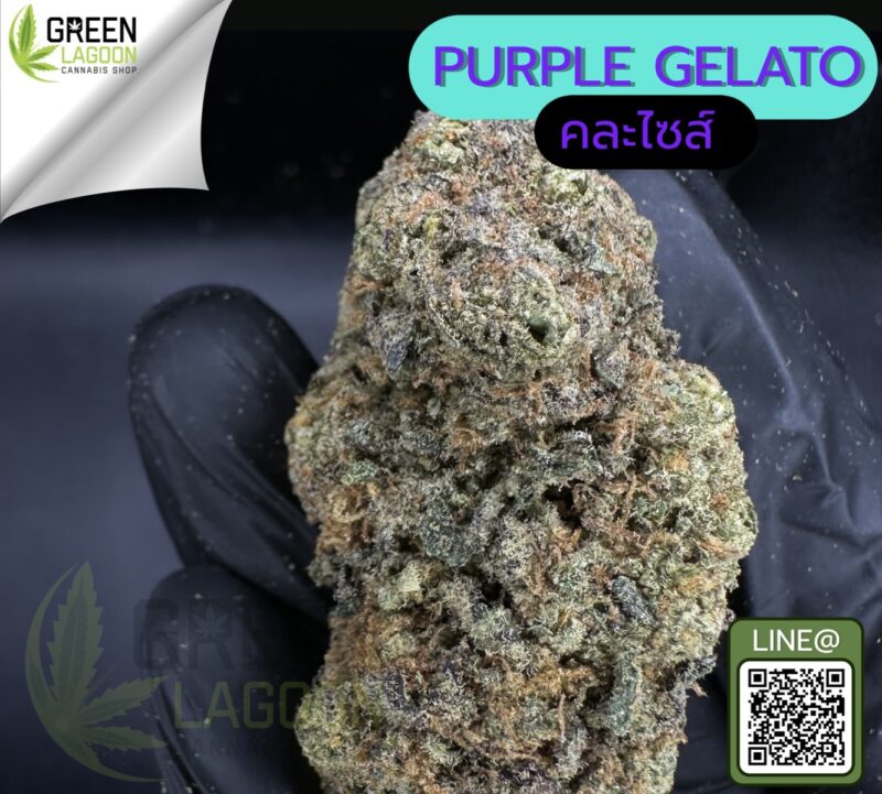 Purple gelato