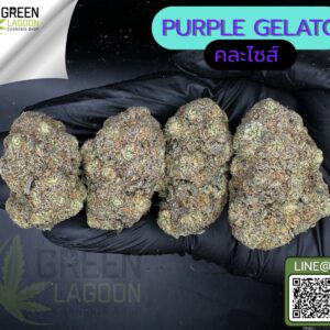 Purple gelato