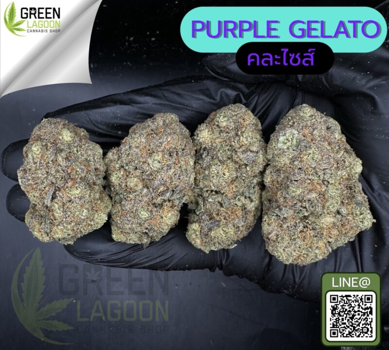 Purple gelato