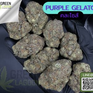 Purple gelato