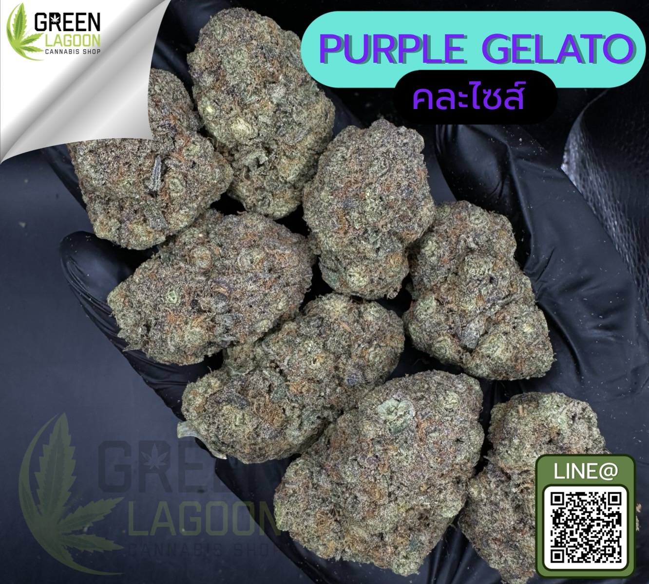 Purple gelato