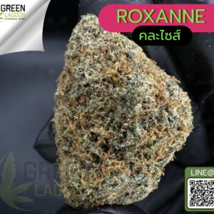 Roxanne
