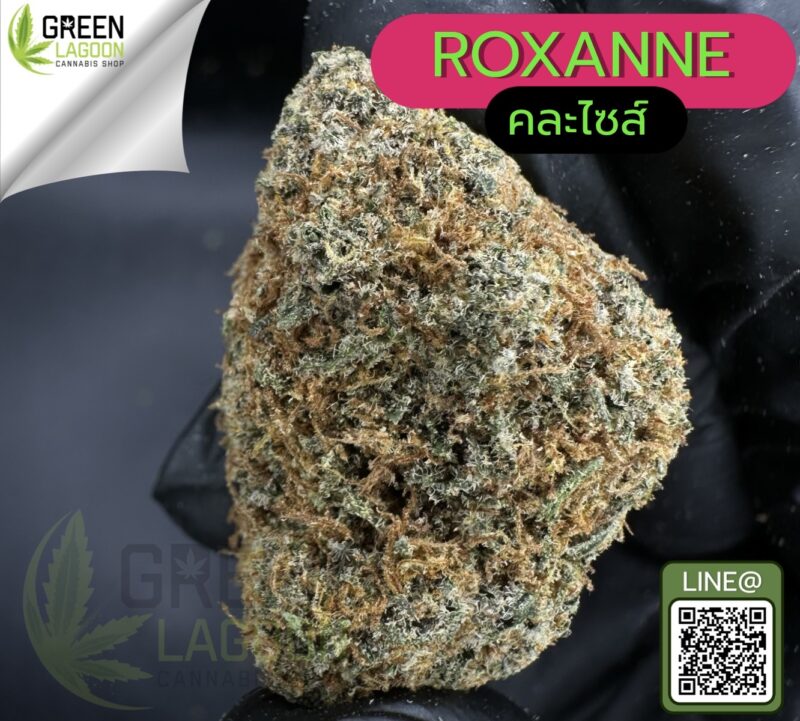 Roxanne