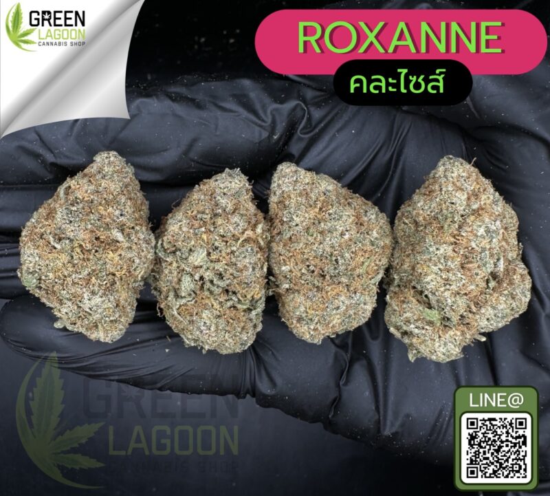 Roxanne