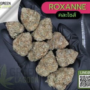 Roxanne