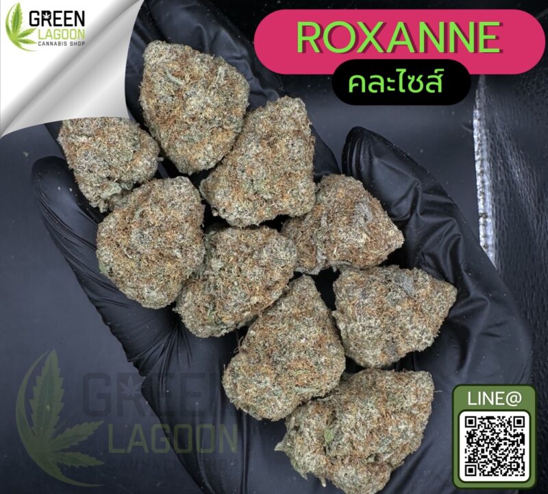 Roxanne