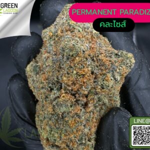 Permanent paradize