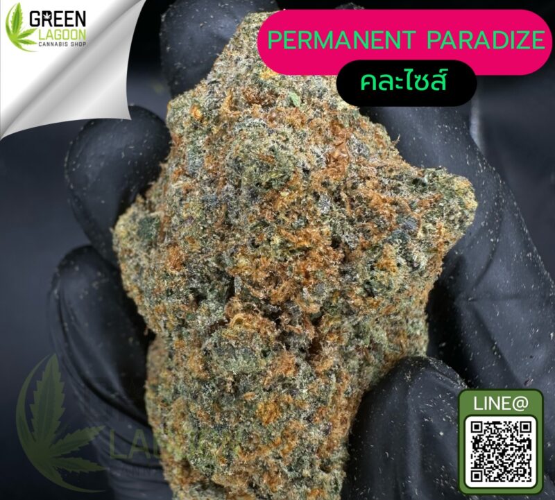 Permanent paradize