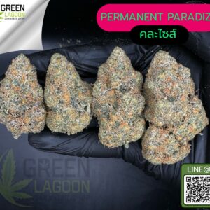 Permanent paradize