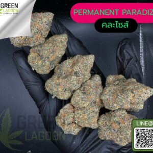 Permanent paradize