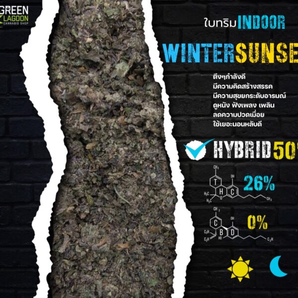 ใบทริม Winter sunset (indoor-exotic)