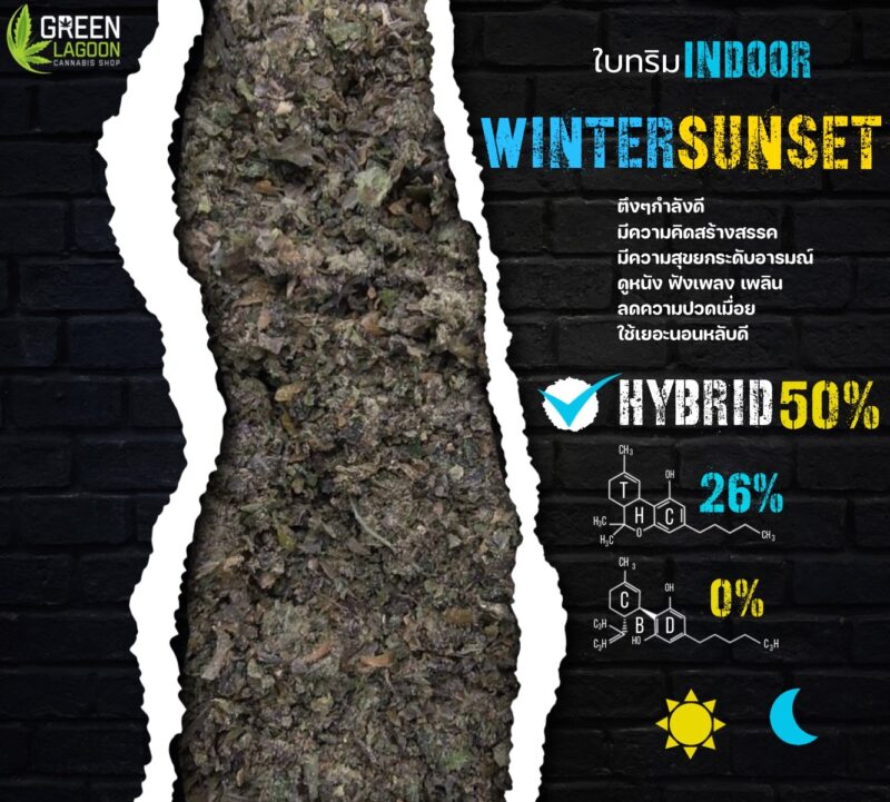 ใบทริม Winter sunset (indoor-exotic)