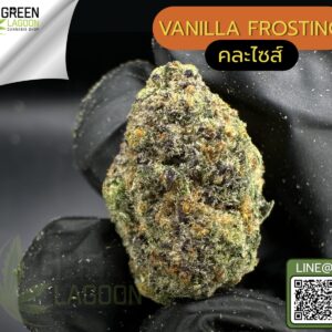 Vanilla frosting