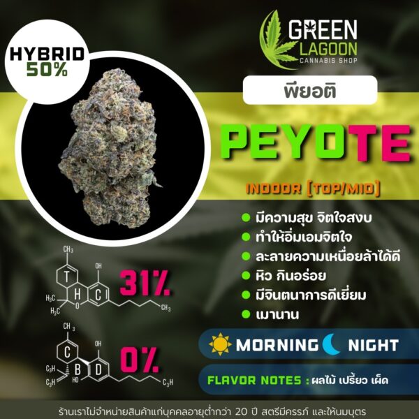 Peyote