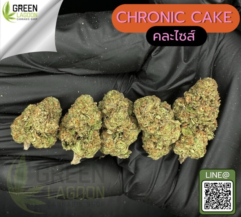 Chronic cake