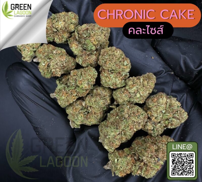 Chronic cake