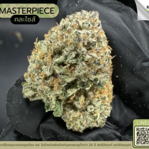 Masterpiece (GACP)