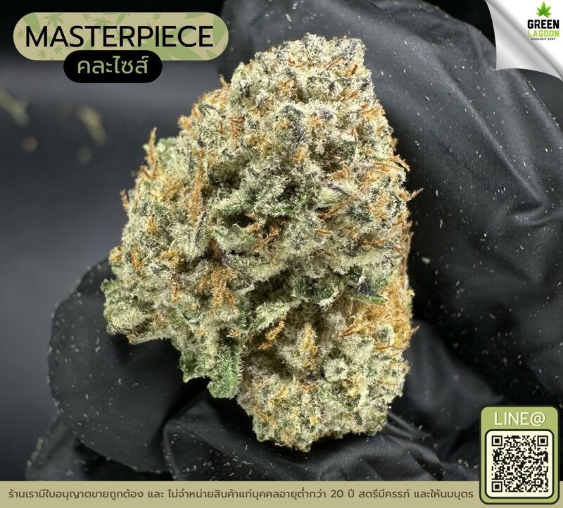Masterpiece (GACP)