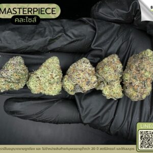 Masterpiece (GACP)