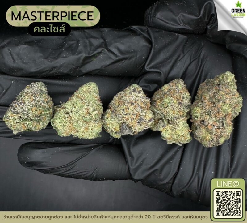 Masterpiece (GACP)