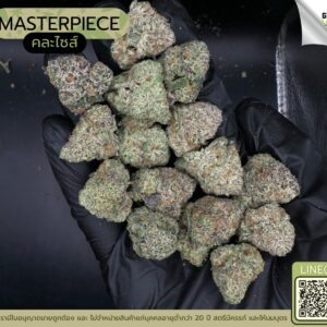 Masterpiece (GACP)