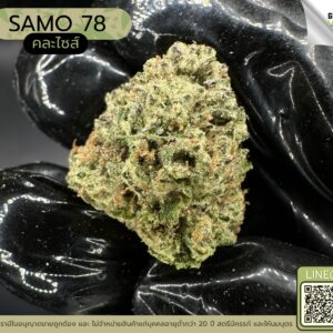 SAMO 78 (GACP)