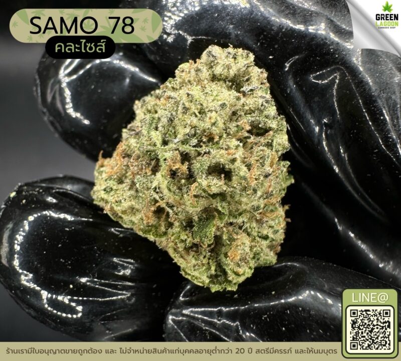 SAMO 78 (GACP)