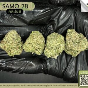 SAMO 78 (GACP)