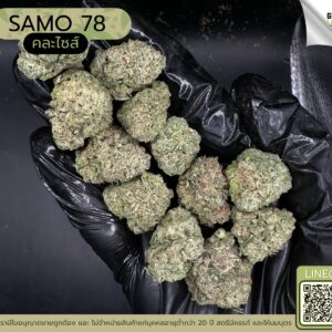 SAMO 78 (GACP)