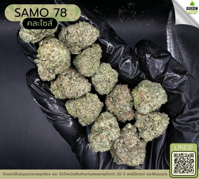 SAMO 78 (GACP)