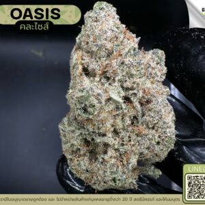 Oasis (GACP)