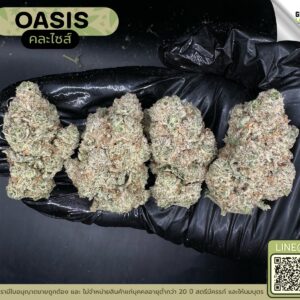 Oasis (GACP)
