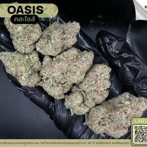 Oasis (GACP)