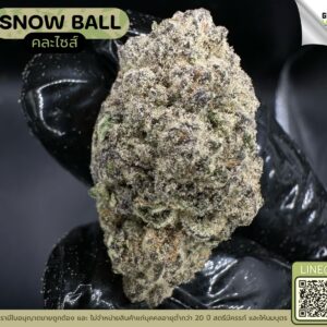 Snow ball
