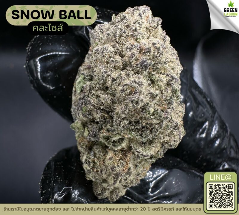 Snow ball