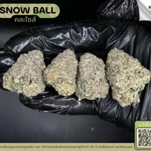 Snow ball