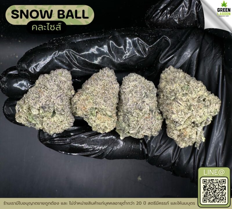 Snow ball