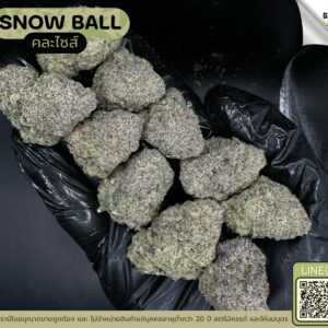 Snow ball